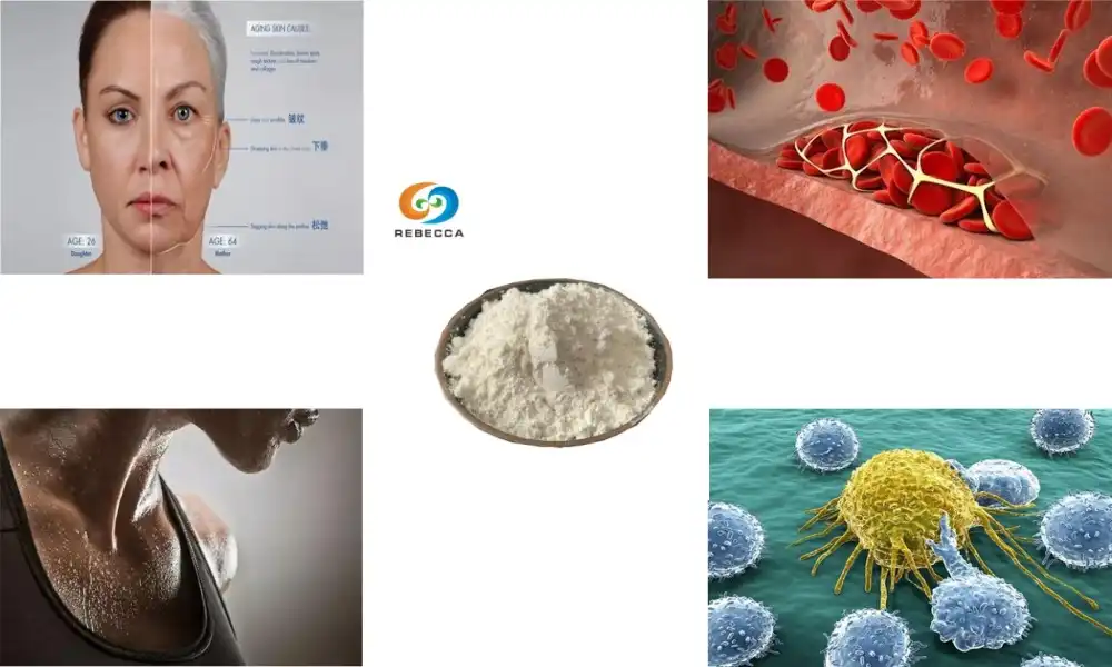 Can soy isoflavones help prevent osteoporosis? Can soy isoflavones help prevent osteoporosis?